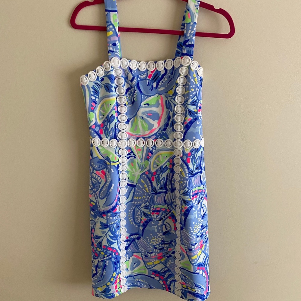 Lilly Pulitzer scuba dress